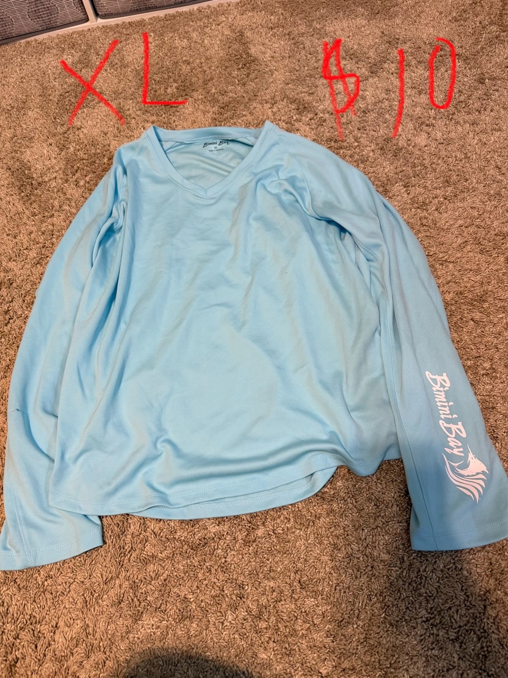 Light Blue V-Neck Long Sleeve Top with Sleeve Script